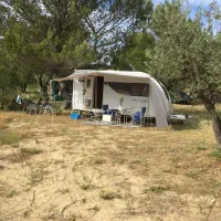 domaine-la-cambuse-vaison-la-romaine-n1zvr