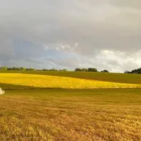bozedown-boltholes-reading-lgyo6