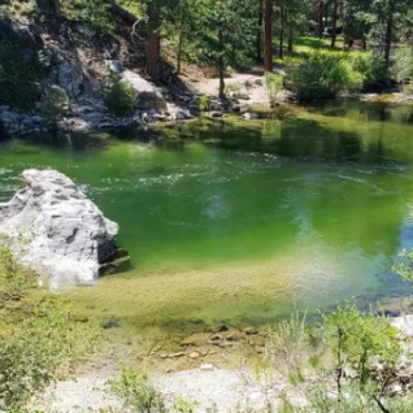Baumgartner Campground