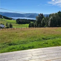 oddan-alpakka-kyrksaeterora-fodgz