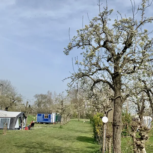 de-boogaard-oudewater-hdjsb