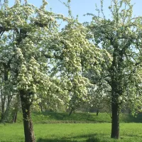 de-boogaard-oudewater-o2b2p