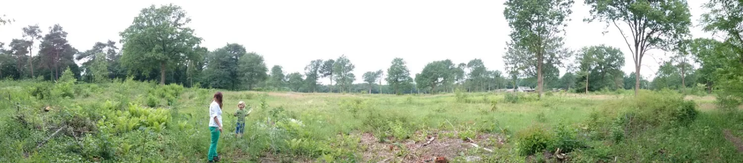 camping-ekelenberg-zuidwolde-dr-oczr1