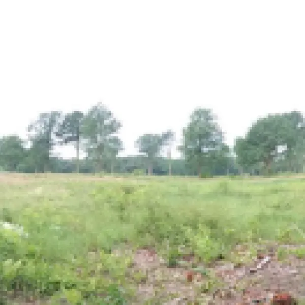 camping-ekelenberg-zuidwolde-dr-oczr1