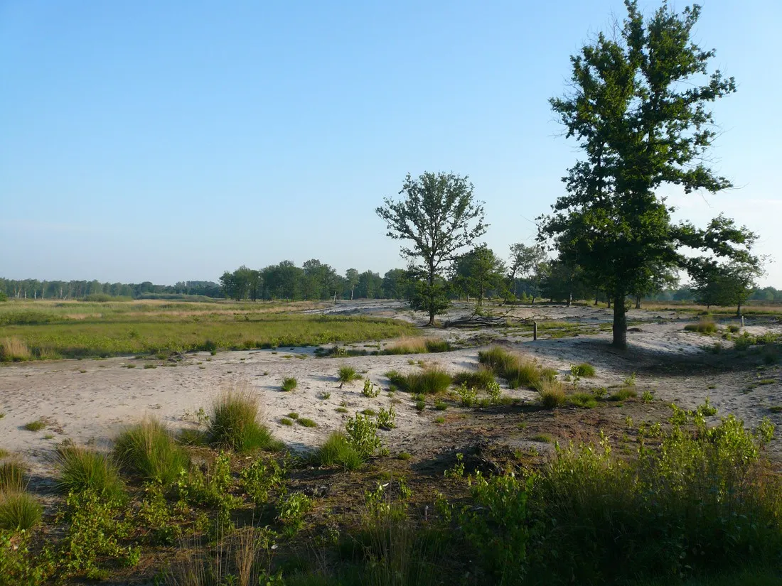 natuurkampeerterrein-morgenrood-oisterwijk-uxddl