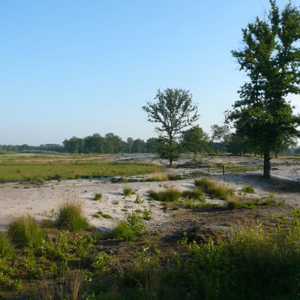 natuurkampeerterrein-morgenrood-oisterwijk-uxddl