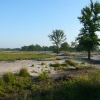 natuurkampeerterrein-morgenrood-oisterwijk-uxddl