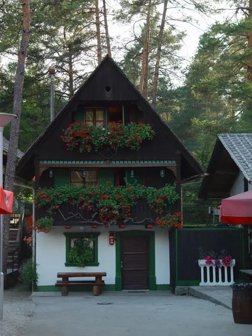 camping-sobec-lesce-znkn4