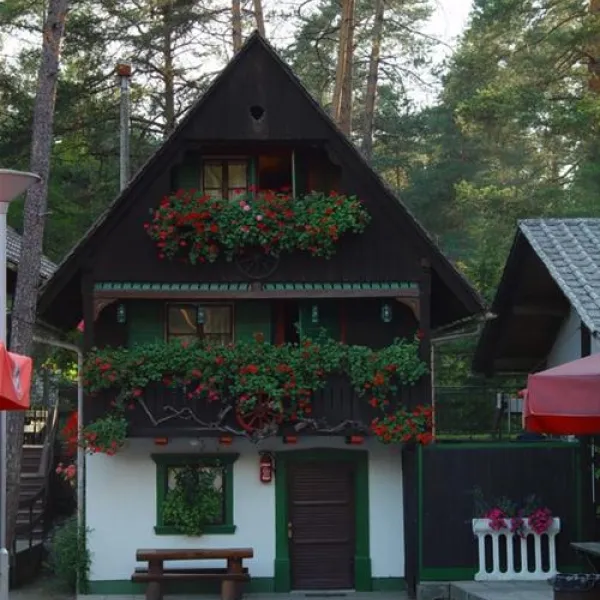 camping-sobec-lesce-znkn4