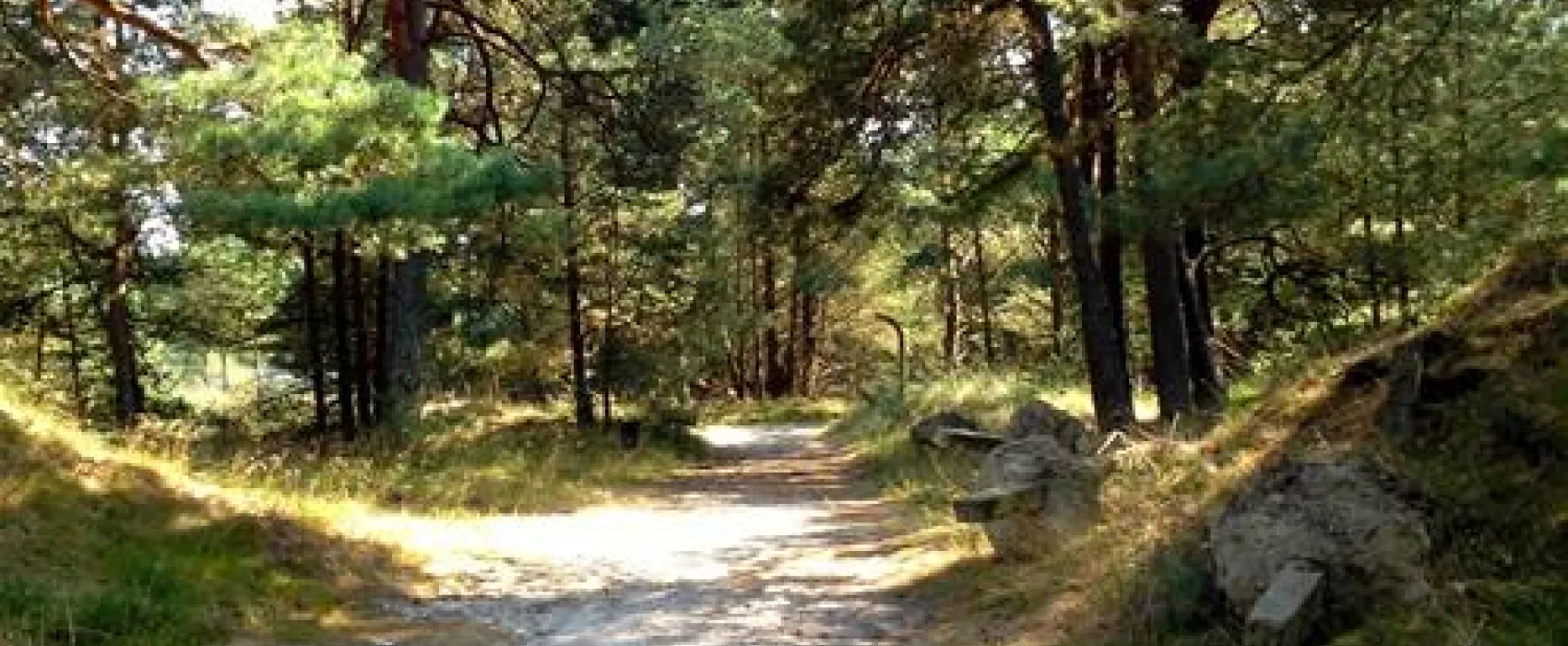Intercamp
