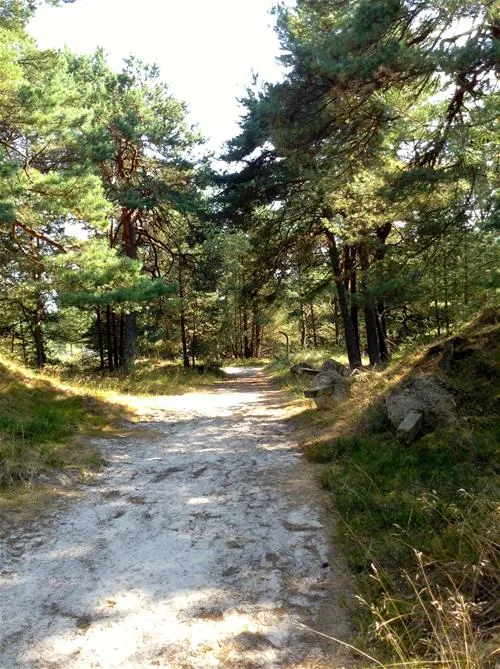 intercamp-leba-akvhy