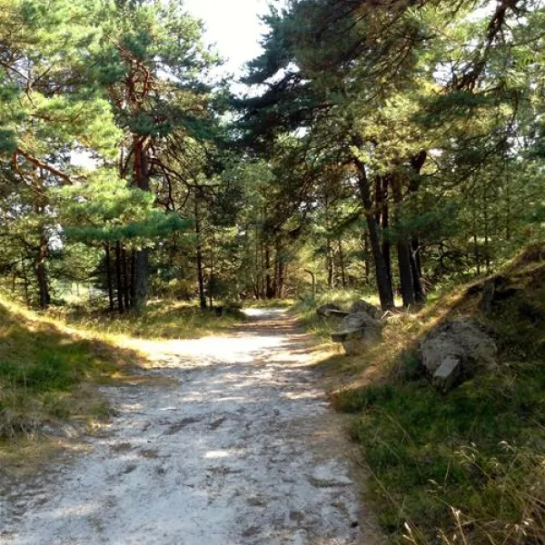 intercamp-leba-akvhy
