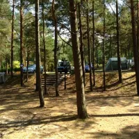 Intercamp