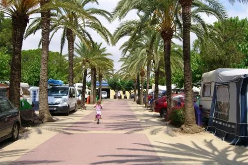 camping-stel-roda-de-bar-mw272