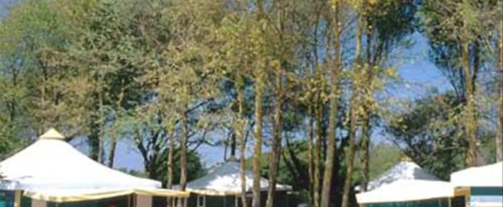 Flower Camping Les Paludiers