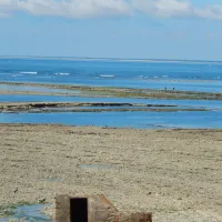 camping-ccdf-la-gautrelle-st-georges-d-oleron-a0nya