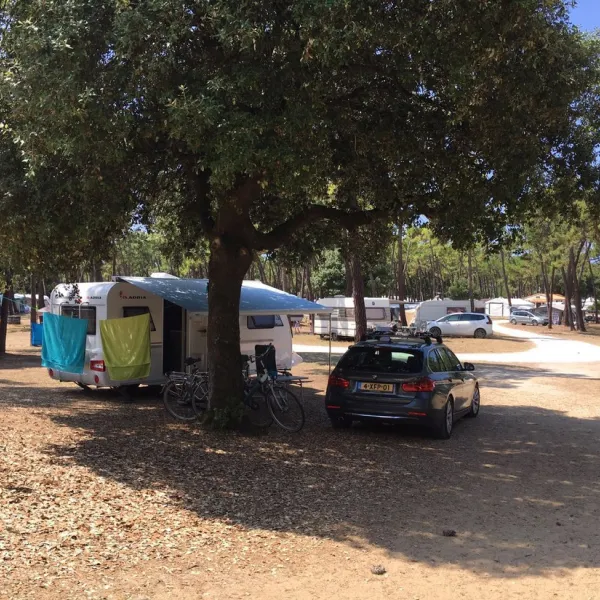 Camping C.C.D.F. La Gautrelle