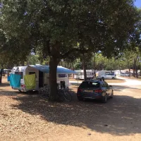 camping-ccdf-la-gautrelle-st-georges-d-oleron-qxglw