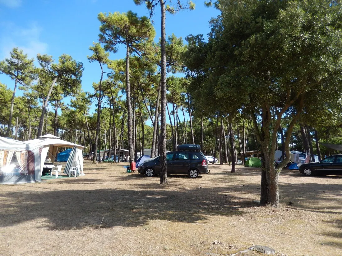 camping-ccdf-la-gautrelle-st-georges-d-oleron-rlai7