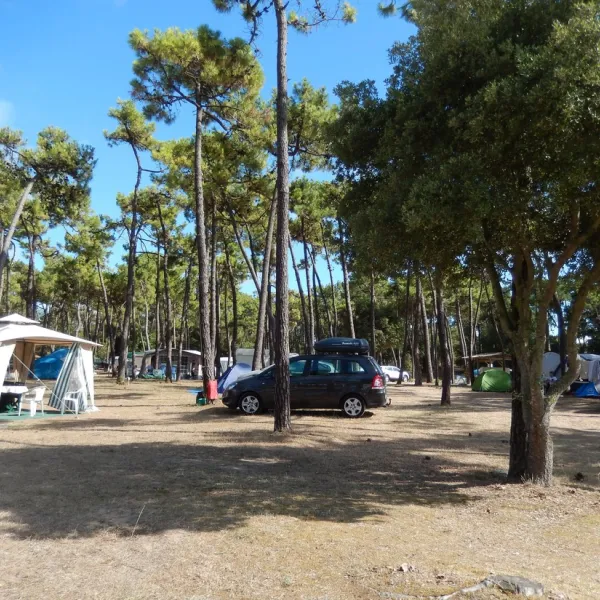 Camping C.C.D.F. La Gautrelle