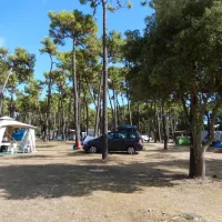 camping-ccdf-la-gautrelle-st-georges-d-oleron-rlai7