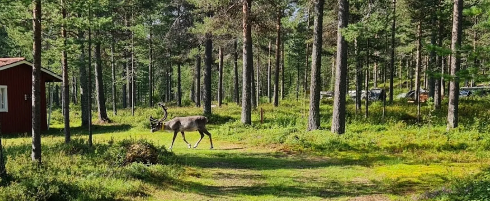 Vajusuvanto Camping