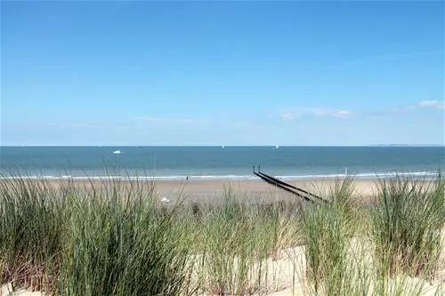 camping-schippers-nieuwvlietbad-19lqt