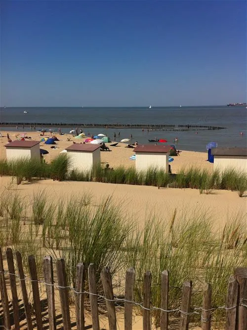 camping-schippers-nieuwvlietbad-porg1