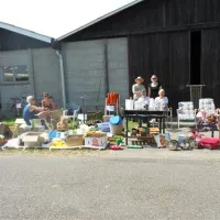 camping-schippers-nieuwvlietbad-wsw23