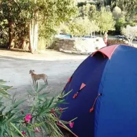camping-beiramarvao-alentejo-beiramarvao-2liyu