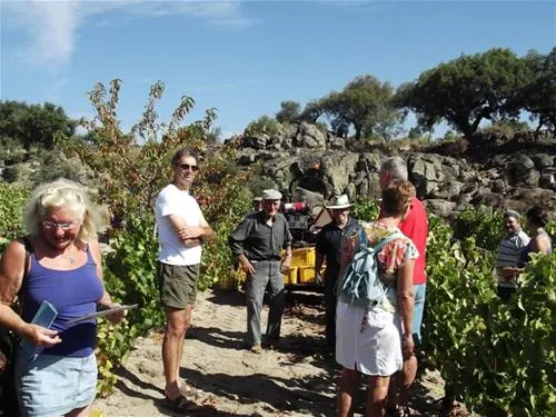 camping-beiramarvao-alentejo-beiramarvao-tfe6b