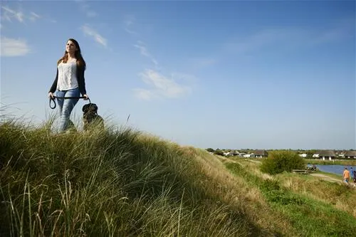 hvidbjerg-strand-feriepark-blvand-99jra