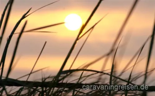 hvidbjerg-strand-feriepark-blvand-fzidg