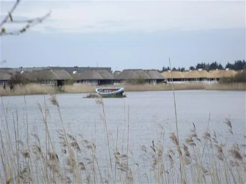 hvidbjerg-strand-feriepark-blvand-raoys