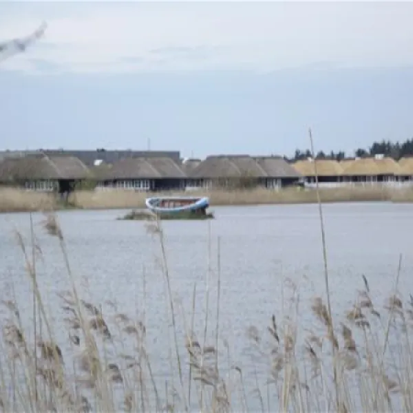 hvidbjerg-strand-feriepark-blvand-raoys