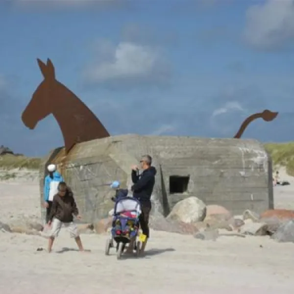 hvidbjerg-strand-feriepark-blvand-sffn0