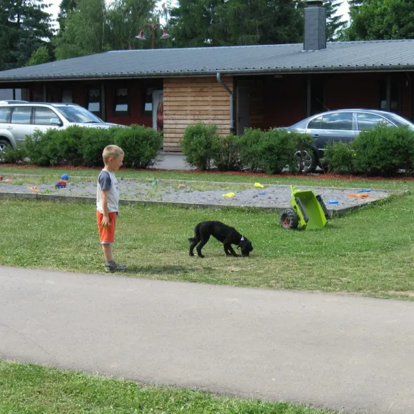 camping-des-ardennes-hosingen-7tr0j