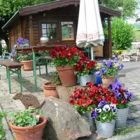 camping-hofgeismar-hofgeismar-4svmj