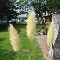 camping-hofgeismar-hofgeismar-8kwzm