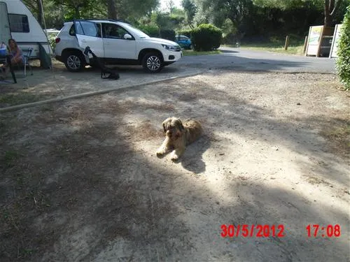 camping-municipal-castelsec-pzenas-258eh