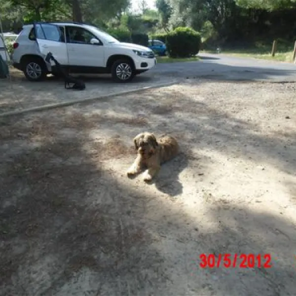 camping-municipal-castelsec-pzenas-258eh