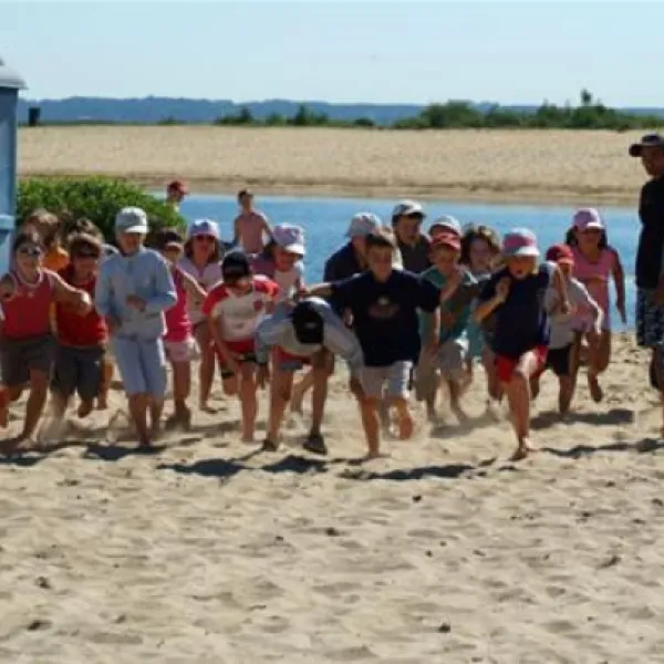 camping-les-viviers-lge-cap-ferret-bfjkw