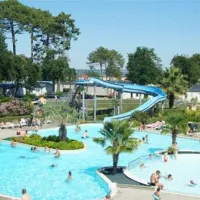 camping-les-viviers-lge-cap-ferret-mowce