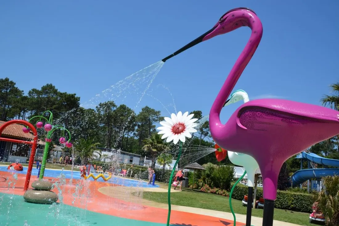 camping-les-viviers-lge-cap-ferret-mzyyb