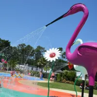 camping-les-viviers-lge-cap-ferret-mzyyb