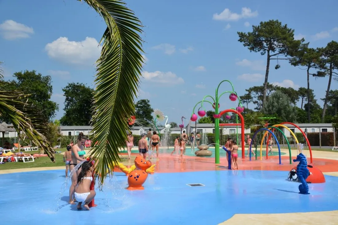 camping-les-viviers-lge-cap-ferret-qleyr