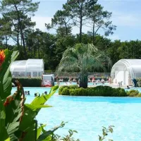 camping-les-viviers-lge-cap-ferret-zwdcx
