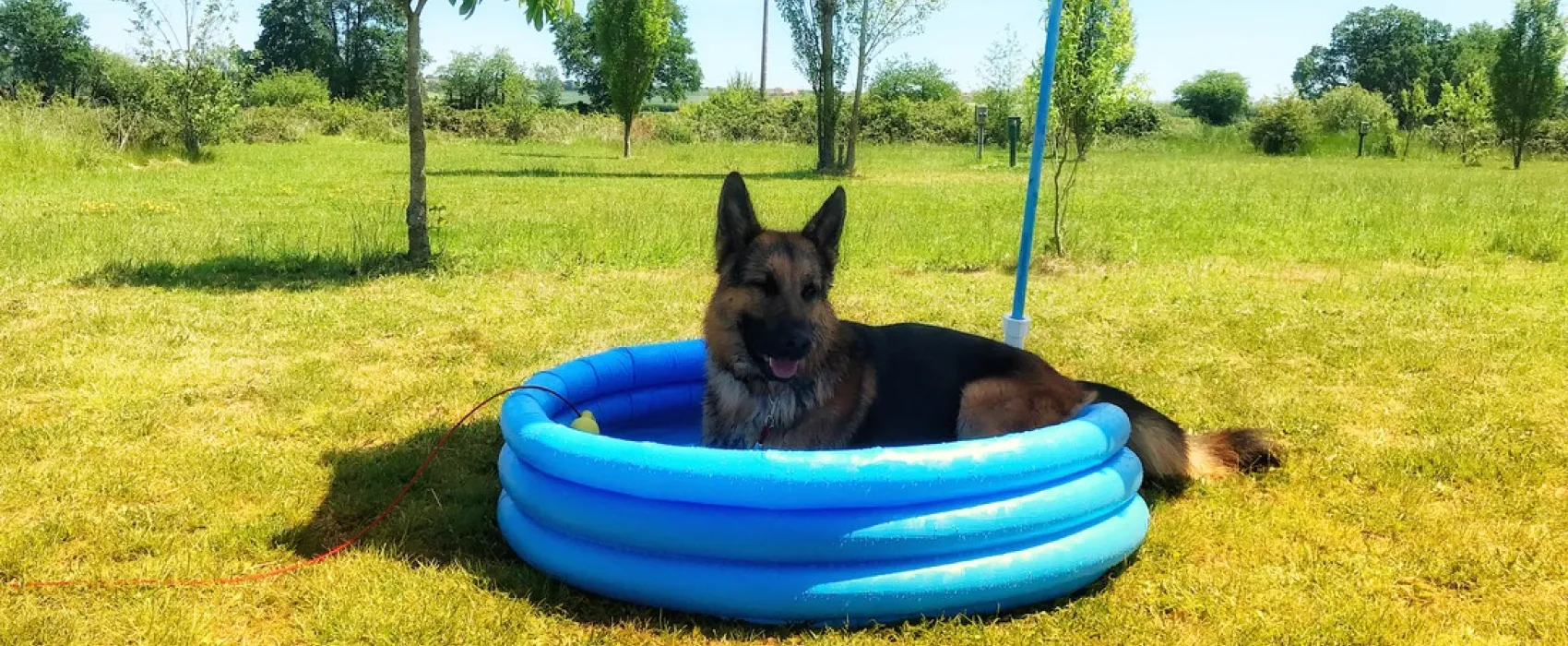 Camping Domaine Sainte Marie  
