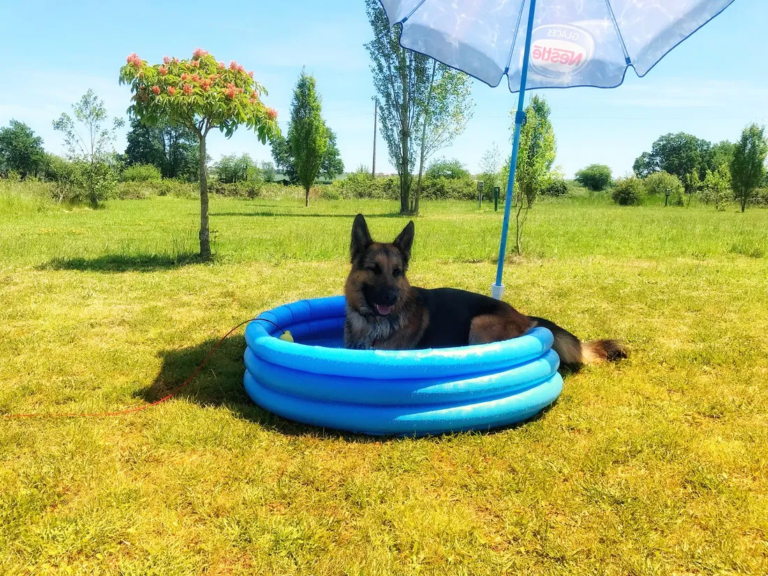 camping-domaine-sainte-marie-treteau-jsnac