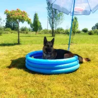 camping-domaine-sainte-marie-treteau-jsnac